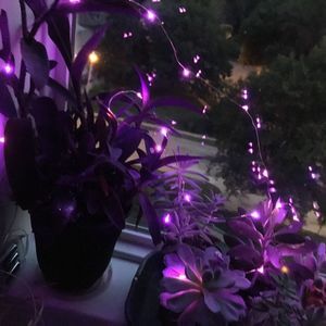 Meet your Posher, Shelli